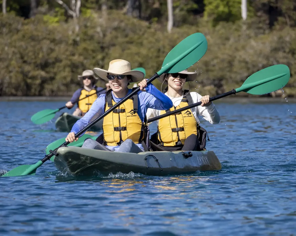 Two happy tour guests paddling a tandem kayak along a scenic riverbank lined with mangrove forest.