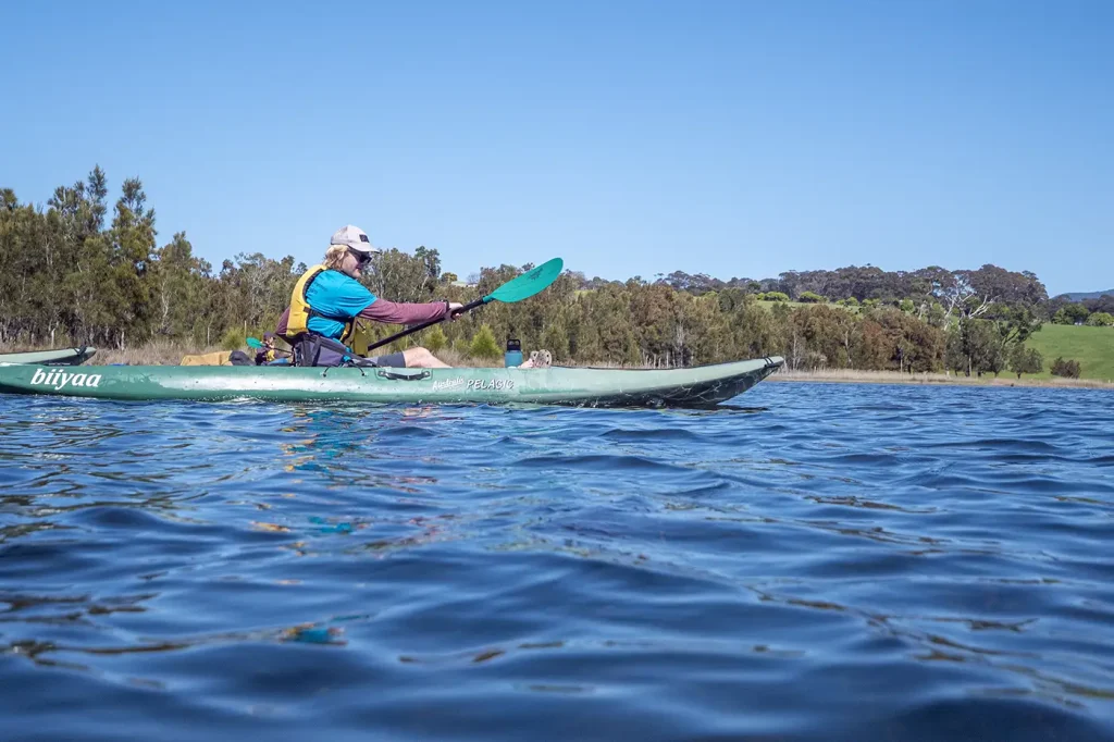 Guests paddling kayaks across the peaceful waters of Corunna Lake on a guided tour.